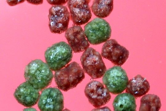 Comment faire couler des granul�s ?